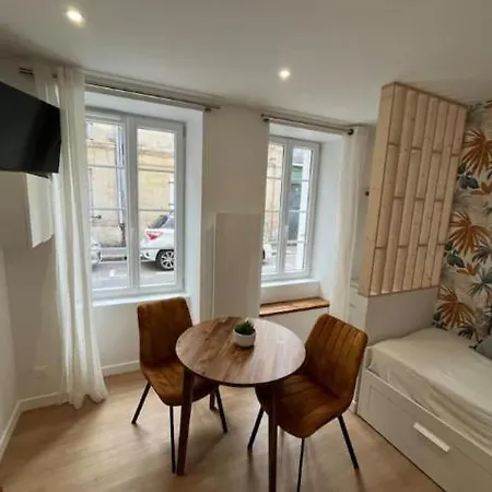 Le Petit Saint-martin - Hypercentre Apartment